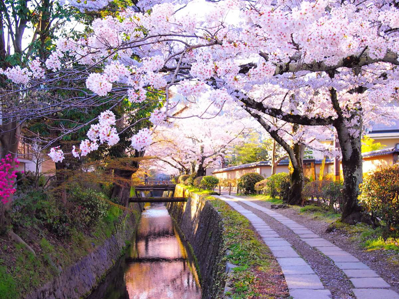 Con đường Triết Học, Kyoto